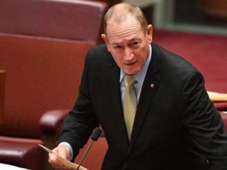 Brave Australian senator slams pro-immigration UN