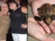 A 26-year-old British woman who had complained of pain in her abdomen was hospitalized in Spain after doctors found a turtle in her vaginal cavity. 