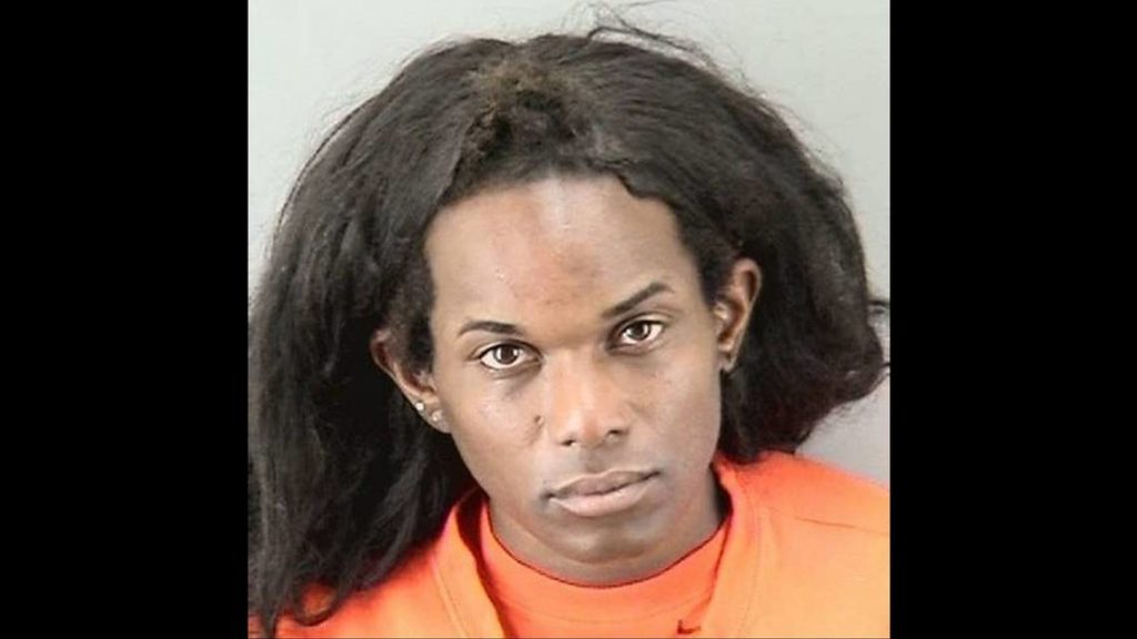 Chihuahua dog killer tells judge she isn't a violent person