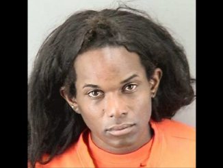 Chihuahua dog killer tells judge she isn't a violent person
