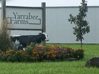 The Immigration and Customs Enforcement (ICE) agency raided the Iowa dairy farm where an illegal alien worked for four years before being charged with murdering 20-year-old victim Mollie Tibbetts.
