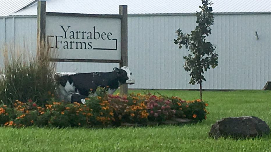 The Immigration and Customs Enforcement (ICE) agency raided the Iowa dairy farm where an illegal alien worked for four years before being charged with murdering 20-year-old victim Mollie Tibbetts.