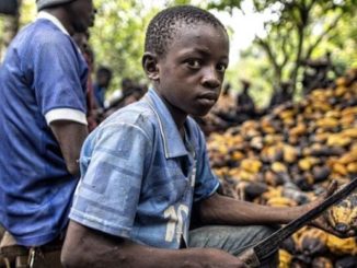 Nestlé has admitted to using slaves to produce its popular cat food while battling a child labor lawsuit in the Ivory Coast. 