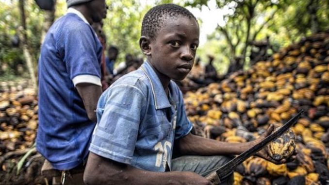 Nestlé has admitted to using slaves to produce its popular cat food while battling a child labor lawsuit in the Ivory Coast. 