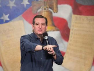 Ted Cruz calls for Muslim Brotherhood to be designated a terrorist organization