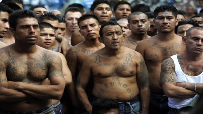 MS-13 gang members join migrant caravan headed towards U.S.A