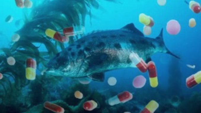 Soaring antidepressant use linked to infertility