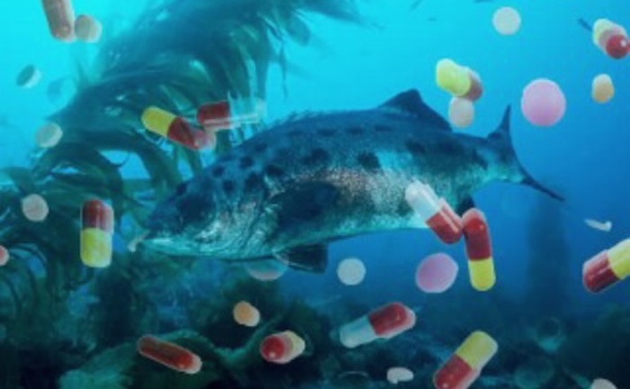 Soaring antidepressant use linked to infertility