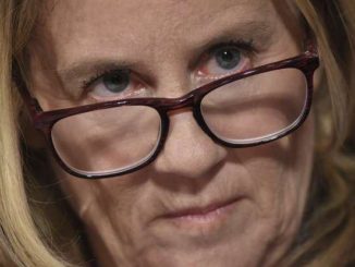 Christine Blasey Ford's criminal record was mysteriously scrubbed from the Internet three weeks before her letter to Senator Dianne Feinstein.  