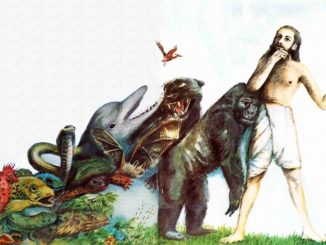 Hundreds of the world's leading scientists have jointly declared Darwin's theory of evolution to be outdated and unscientific.