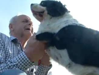 A 68-year-old Belgian man had his face broken in 11 places after receiving a vicious beating from Muslim migrants who were offended by the smell of his dog.