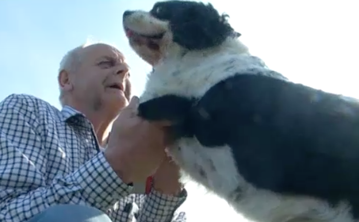 A 68-year-old Belgian man had his face broken in 11 places after receiving a vicious beating from Muslim migrants who were offended by the smell of his dog.