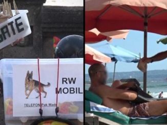 Dogs in Bali are being taken off the streets and killed to be sold to tourists disguised as chicken in meals, according to a new investigation that reveals the shocking scale of the illegal dog meat trade on the island.