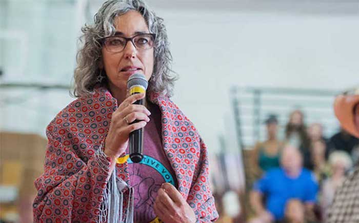 Demcorat Kathleen Williams vows crippling tax on gun owners living in Montana