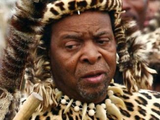 South Africa's Zulu Nation offers full support to white farmers who are having their land seized by the government