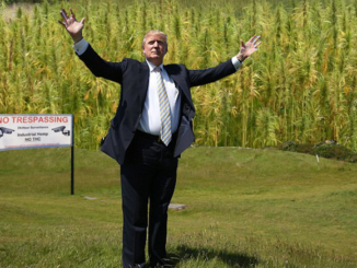 President Trump has officially legalized hemp nationwide