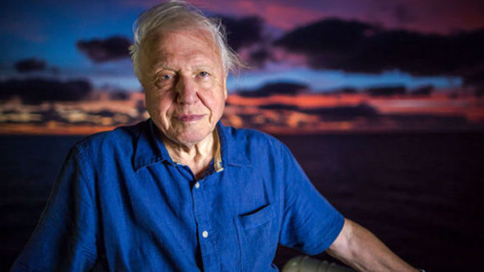 David Attenborough warns mankind is on the brink of collapse