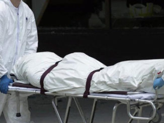 8 members of pedophile ring found dead after being exposed by online vigilantes