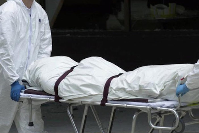 8 members of pedophile ring found dead after being exposed by online vigilantes