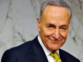 Chuck Schumer urged deep state to stage intervention to bring down Trump