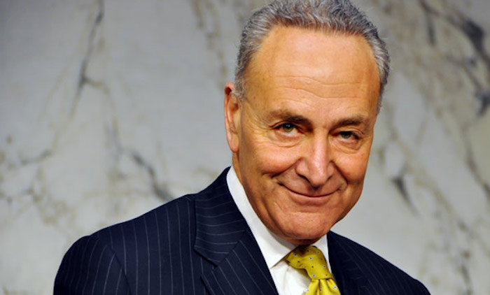Chuck Schumer urged deep state to stage intervention to bring down Trump