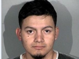 Illegal alien arrested for killing four U.S. citizens