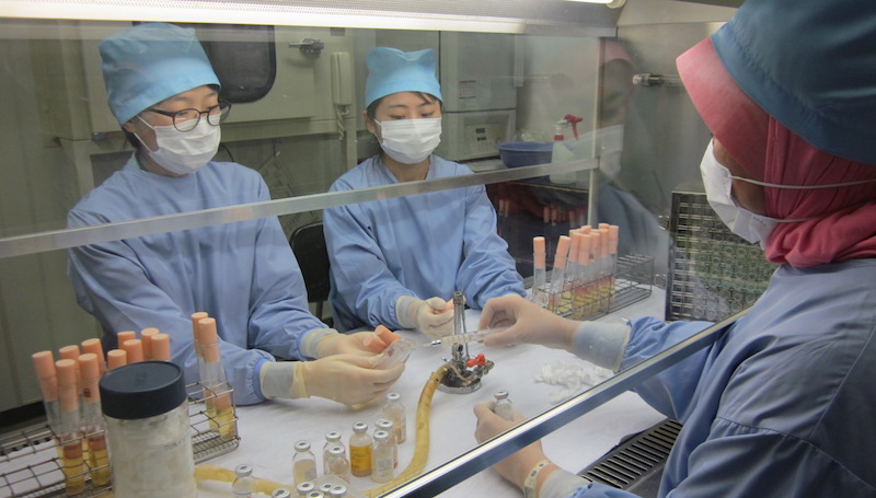 FDA approves 6 in 1 mega vaccine for 2020