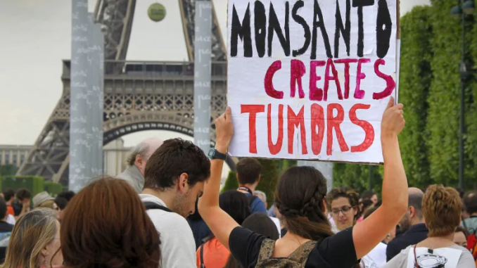 French court bans Monsanto's weedkiller because it causes cancer