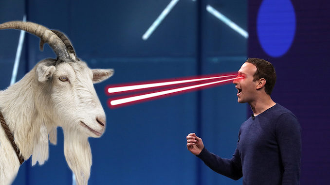 Mark Zuckerberg fed Jack Dorsey raw goat he killed with a laser