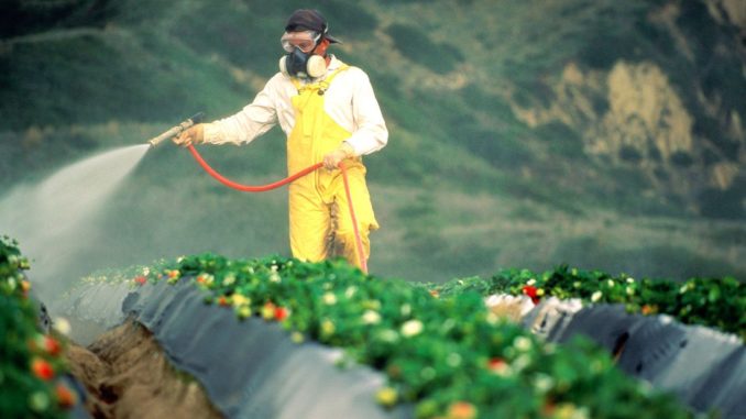 Washington University confirms link between Roundup and increased risk of cancer