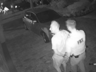 Raw video shows CNN was tipped off by Mueller before SWAT raid on Roger Stone