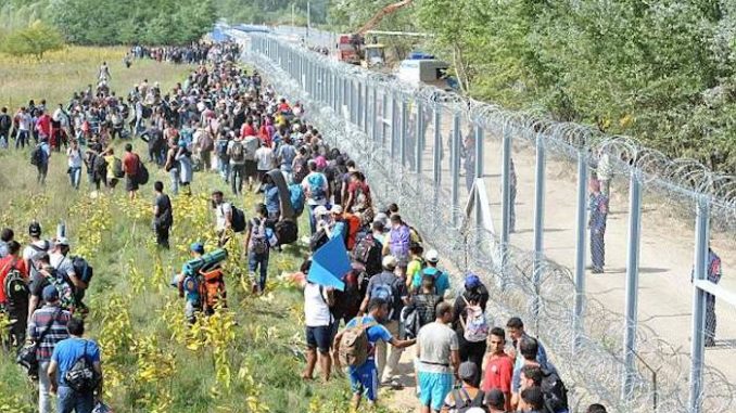 Illegal immigration in Hungary has fallen by more than 99% after the completion of a border wall reduced arrivals from 6,300 per day to 15.