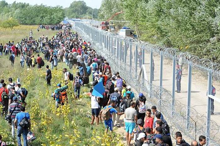 Illegal immigration in Hungary has fallen by more than 99% after the completion of a border wall reduced arrivals from 6,300 per day to 15.