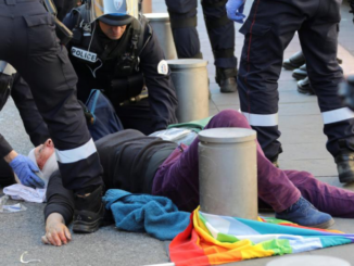Macron comes under fire for celebrating injury of elderly Yellow Vest lady