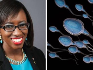 House Democrats have introduced a bill that requires men over the age of 55 to report to authorities any time they masturbate.