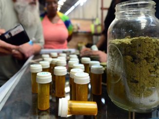 Medical marijuana users begin ditching Big Pharma drugs