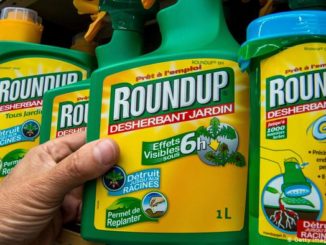 Bayer asks California court to overturn 78 million dollar Roundup verdict