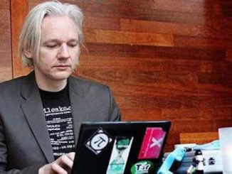 Julian Assange used his expert computer skills to help police bring down a massive pedophile ring