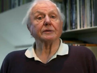 Sir David Attenborough says sending foot to famine-ridden country is 'barmy' in depopulation rant