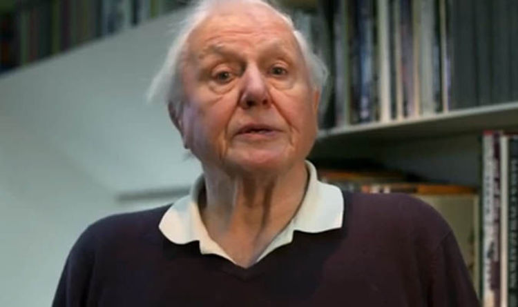 Sir David Attenborough says sending foot to famine-ridden country is 'barmy' in depopulation rant