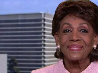California Democrat Rep. Maxine Waters referred to "Facepage" and "Tweeter" during an appearance on MSNBC on Sunday.
