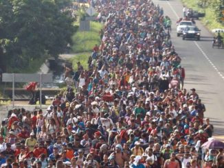 More than one million illegal aliens are expected to settle in the US in 2019, according to Immigration and Customs Enforcement officials