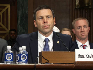 DHS admits 100 per cent of border crossers with children are granted entry and given work permits