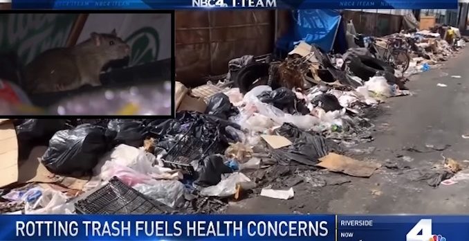 Rotting trash in LA attracting rats and fears of epidemic, NBC report finds