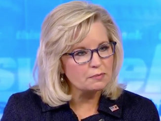 Rep. Liz Cheney says spygate against Trump sounds like treasonous coup attempt