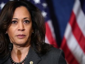 Kamala Harris promises to criminalize private gun sales via executive order
