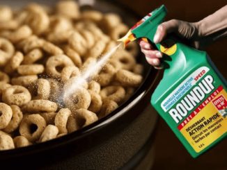 A new study has determined the amount of glyphosate from Monsanto's Roundup found in popular breakfast cereals.