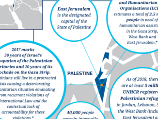 New Zealand Government Website Wipes Israel Off The Map