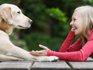 Animal human telepathy might be real, Russian military colonel claims