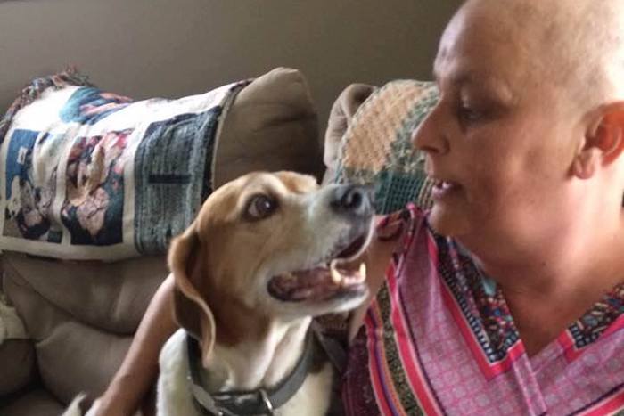 Some dogs are able to detect lung cancer with 97 percent accuracy, study finds